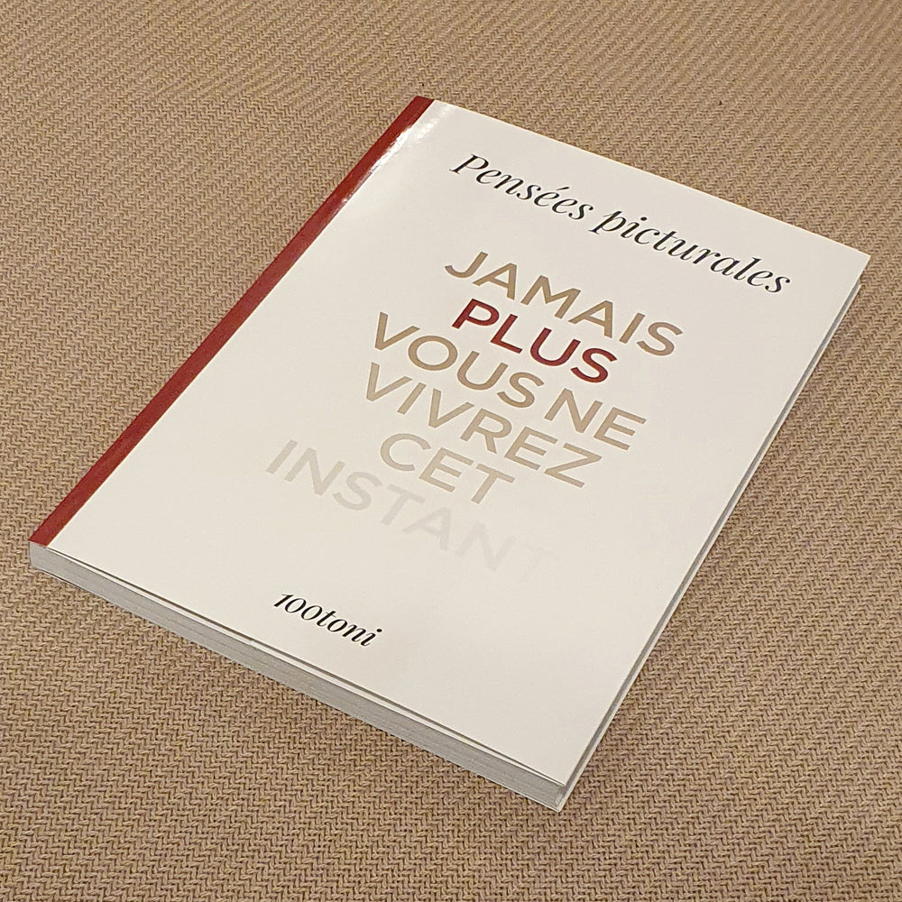 Pensées picturales - livre