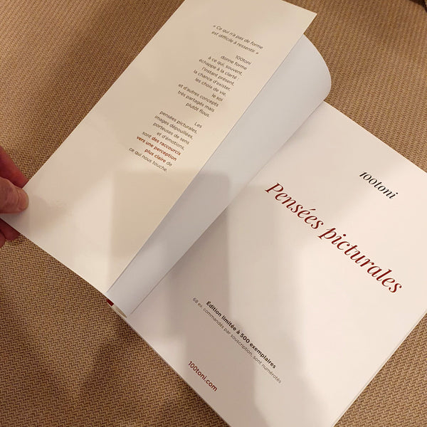 Pensées picturales - livre