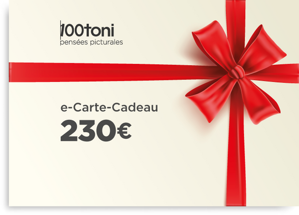 e-Carte-Cadeaux 230 euros