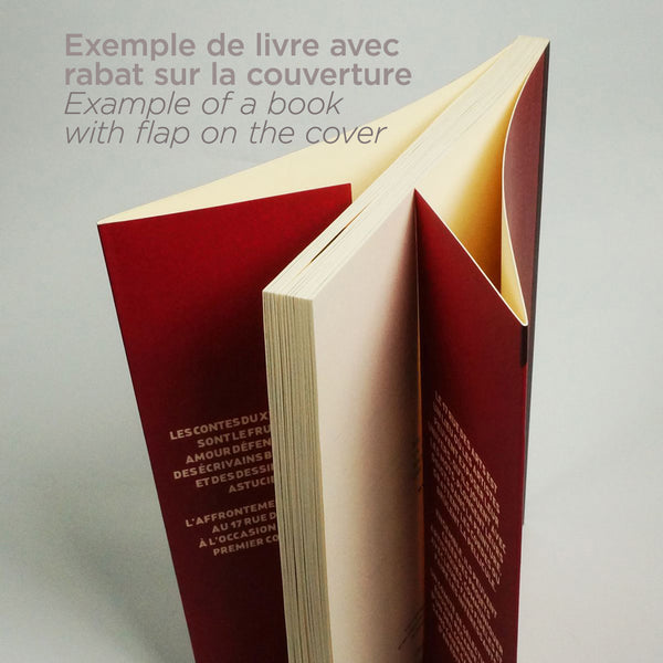 3e version - livre (précommande)